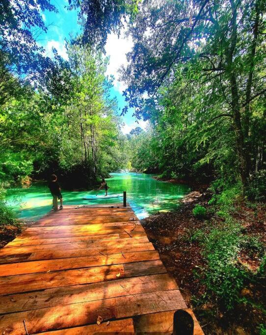 Waterfront Houston Hide Out In A Magical Forest Waller Extérieur photo